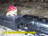 /home//u458753944/public_html/sourcegallery//Roxborough Toad Detour/2013-2019/2017/P4050681.JPG